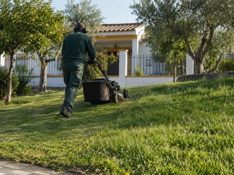 Corte de césped en Alcalá de Guadaíra — césped recién segado y bordes perfilados en un jardín