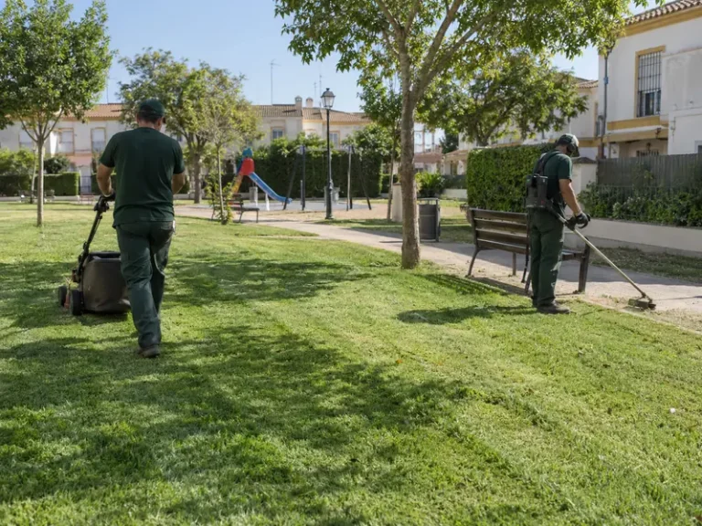Corte de césped en Dos Hermanas — pradera recién cortada en una zona comunitaria