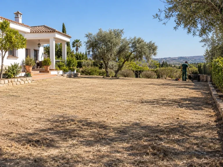 Desbroce de parcelas en Los Palacios y Villafranca — parcela desbrozada junto a un chalet